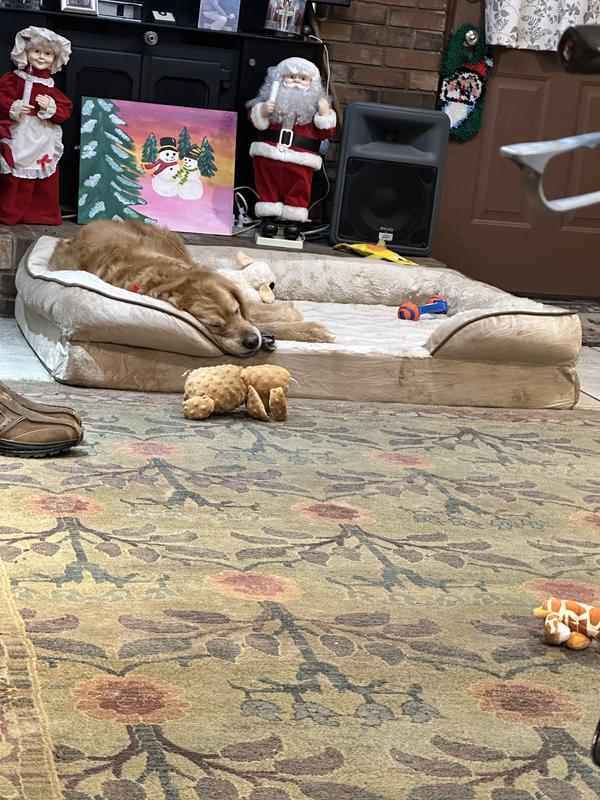 Comfy sleeping Libby