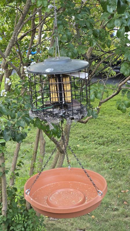 cage suet feeder