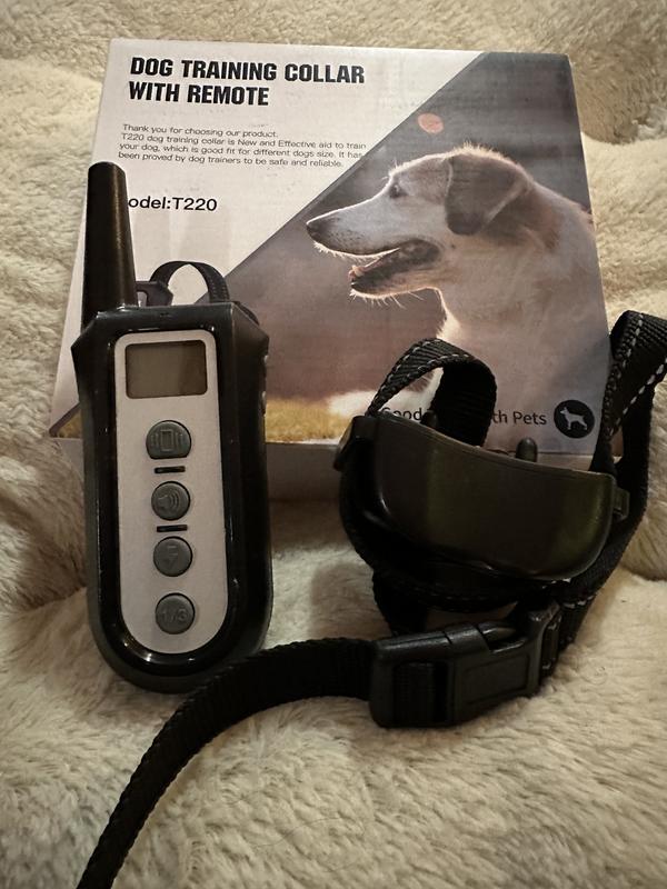 PETDIARY Rechargeable Advanced Remote Training Dog Collar Black Silver Medium Chewy