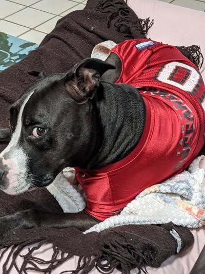 From one fur fan to another, Go Bucs!