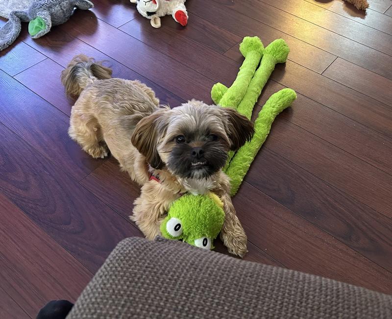 Please share my froggie.