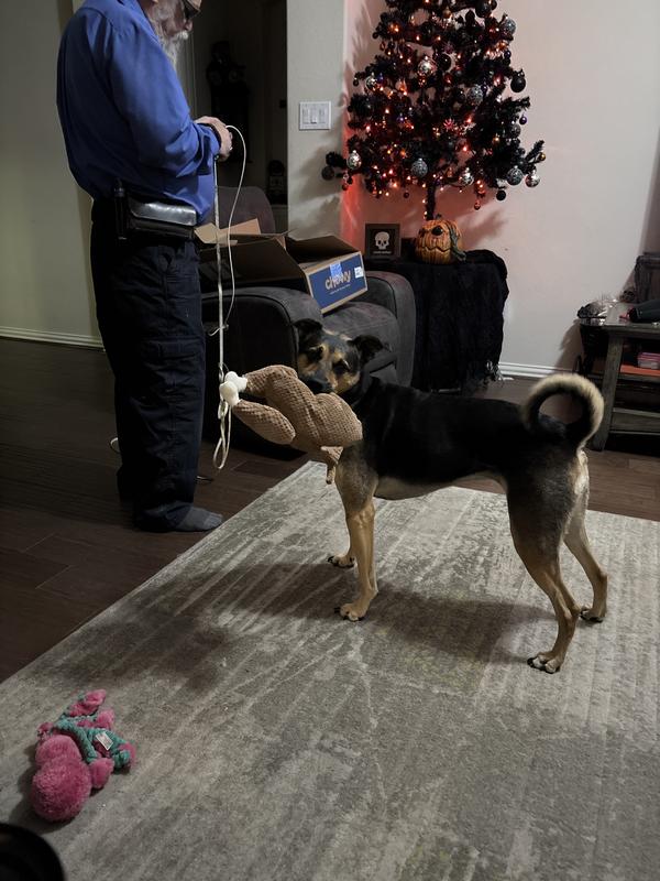 Is it Thanksgiving already?