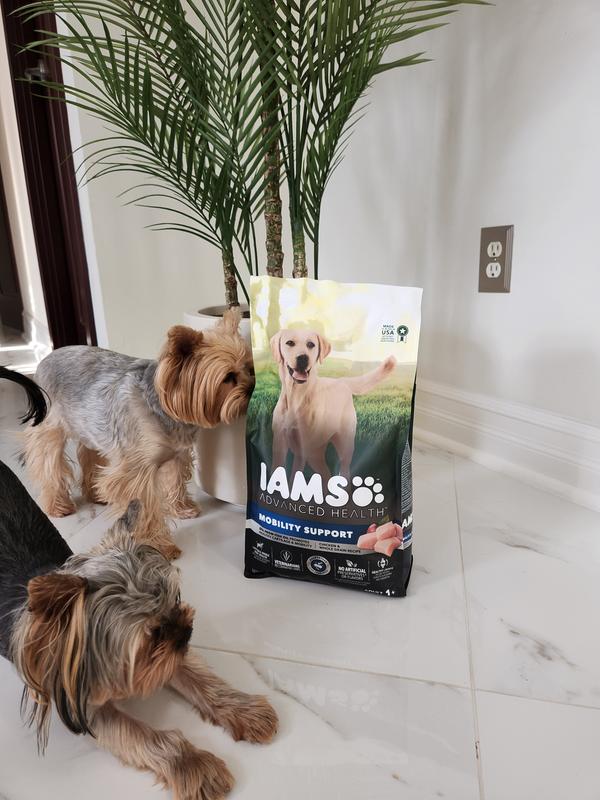 IAMS Advanced Health Mobility Support Chicken Whole Grain Recipe