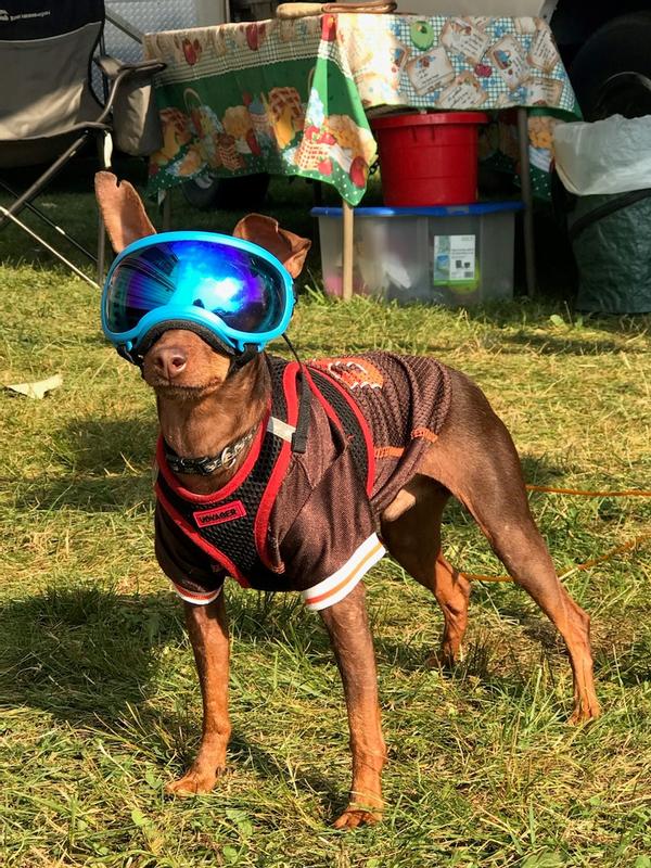 Jimmy is Bad to the Bone out of the Dog Pound!