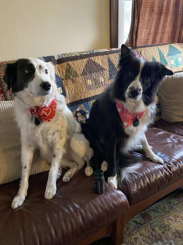 Megan; Emley; Megan and Emley with product