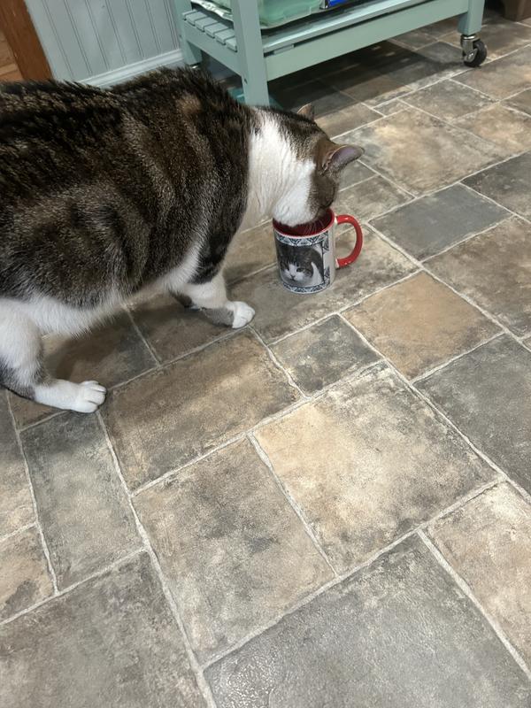 Even Buddy approves!