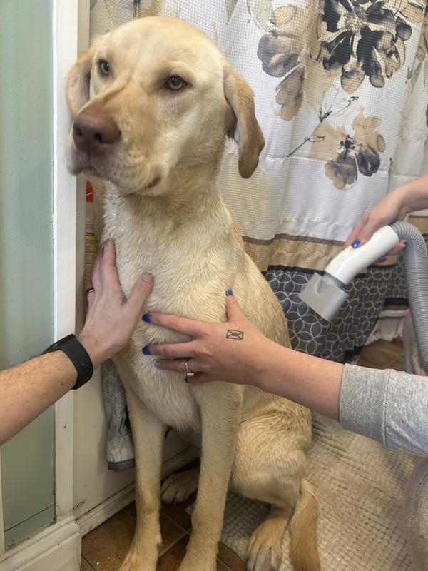 Sitting really well for the dryer!