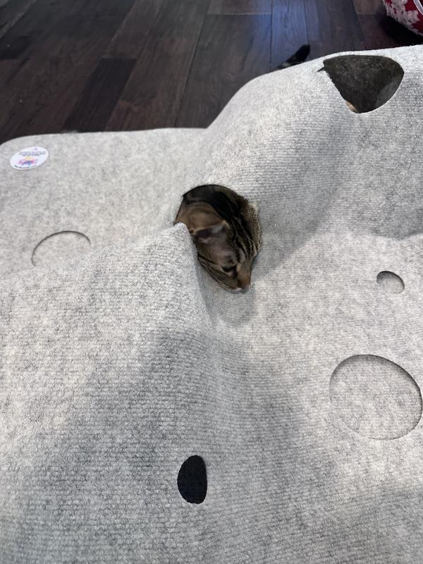 Just my Little Man happy as can be