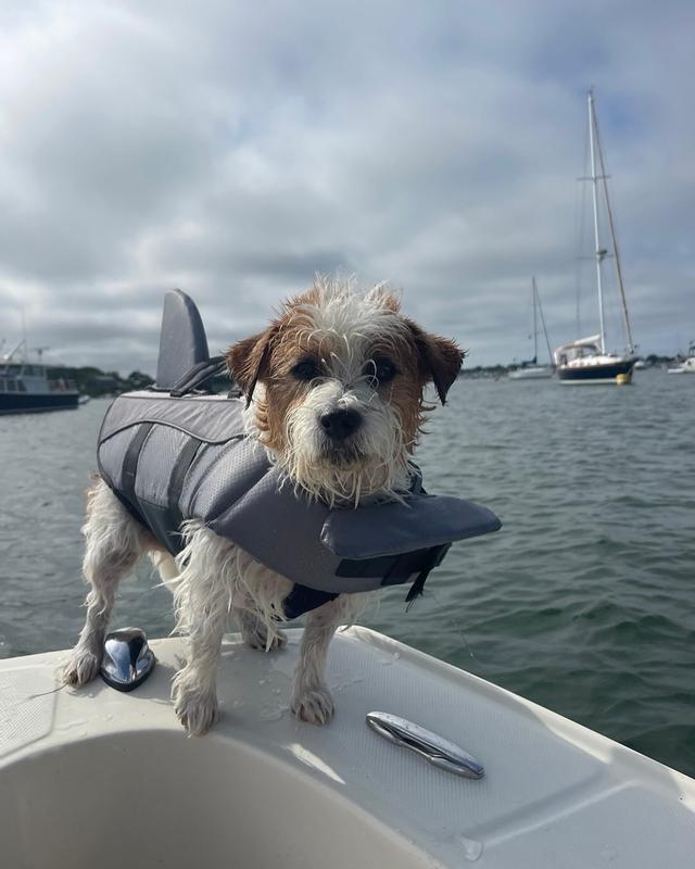 Moxie, Cuttyhunk 2025