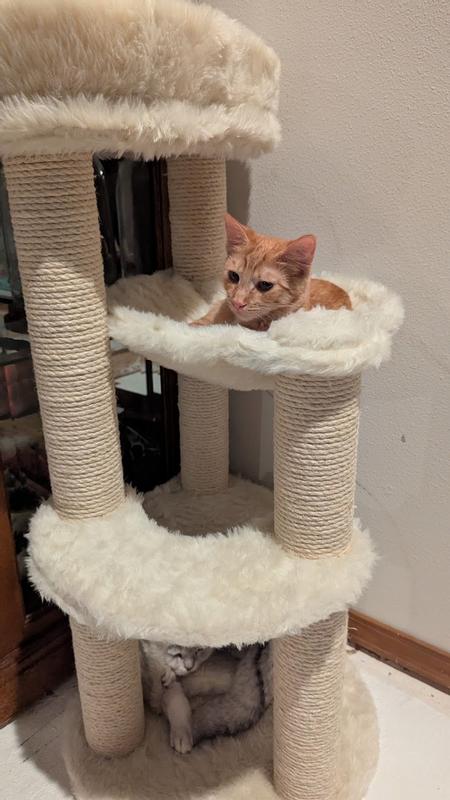 "Is he doing okay down there?" - kitten, probably