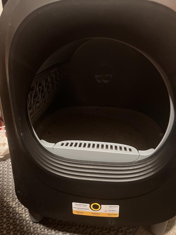 Inside photo of litterbox