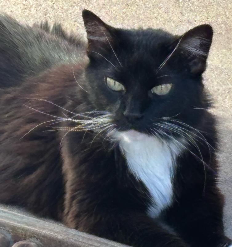 Duchess my 20 yr old