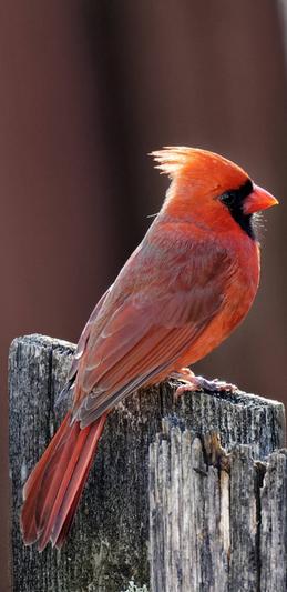 A bird paradise!