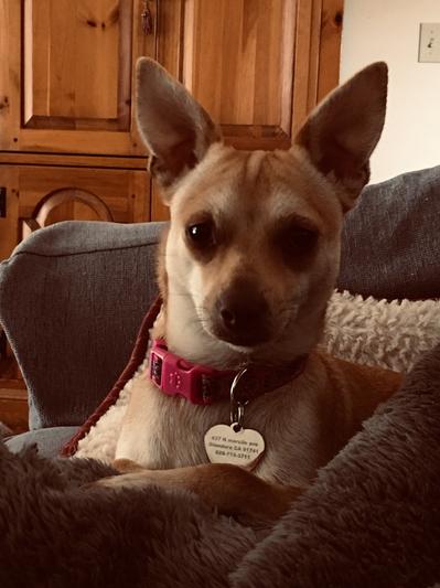 After adoption
