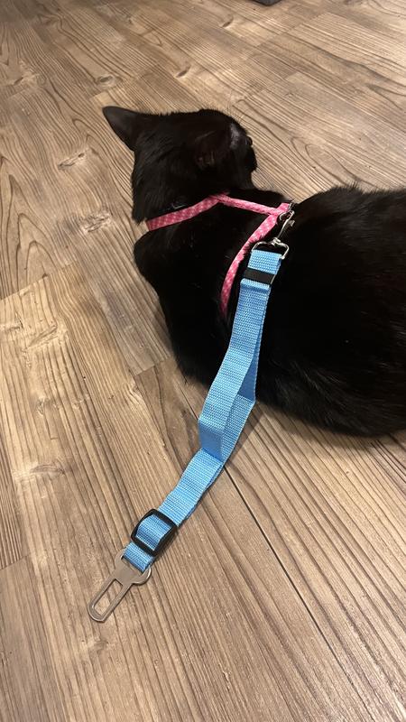 Seatbelt shortest length angle 2