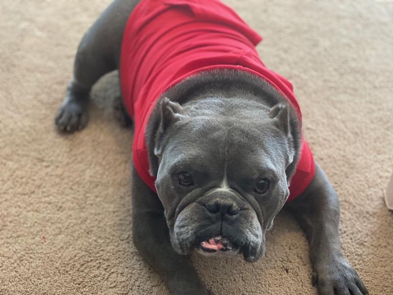 ❤️ my hoodie!