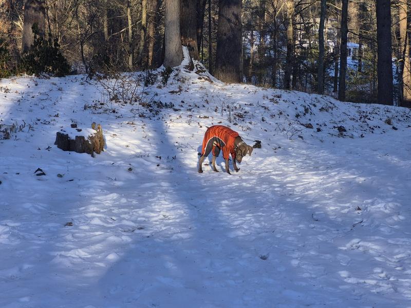 Snow, 20 degrees, no problems