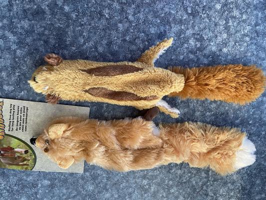 6 month old chipmunk vs. new fox