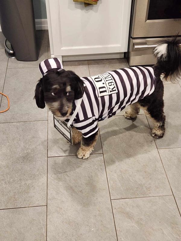 Jail Bird Dog Costume