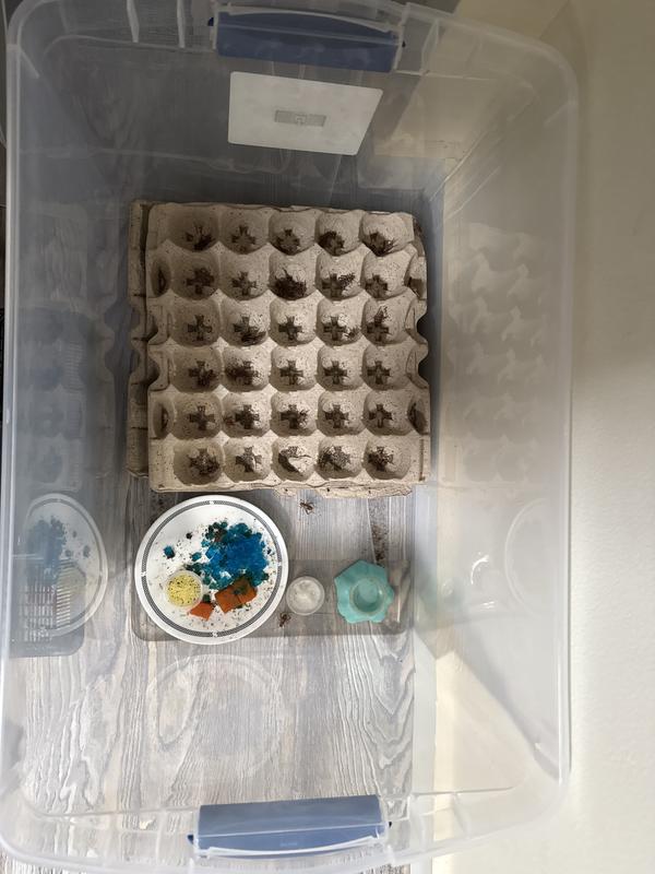 Notice one of the 3 is completely emptied out.