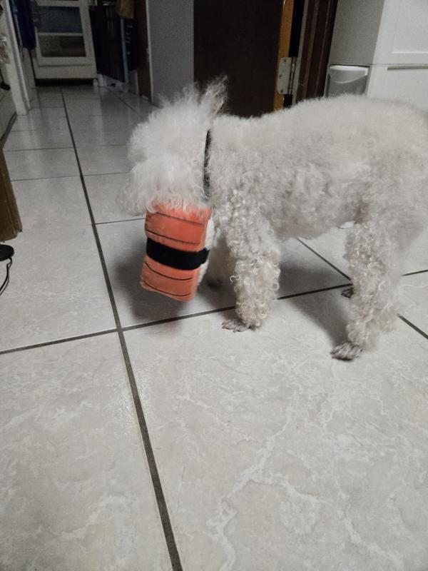 Marvin shaking the sushi toy