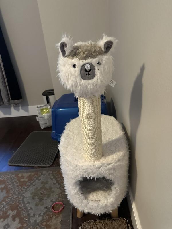 The Llama looks cute but the furs inside the hold and right above the hole looks dirty