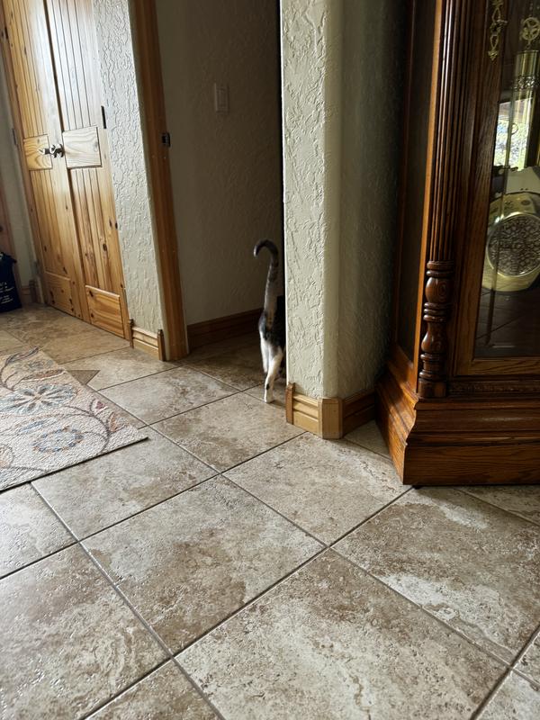 Ace leaves without even trying it.