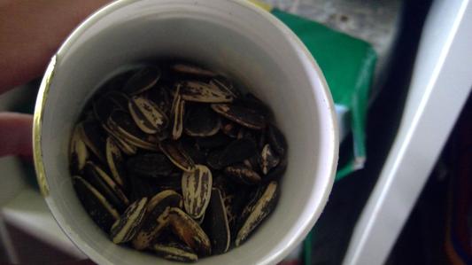 this isn't even all of the sunflower seeds.