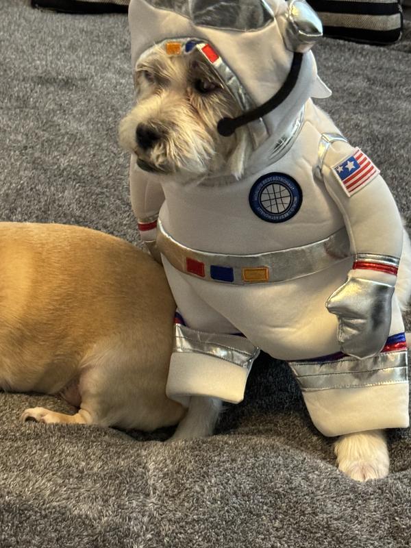 Dog astronaut deals costume