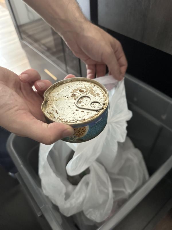 Dent tin with rotten food from other burst cans all over it