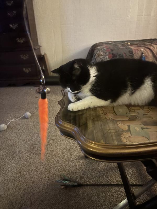Exhausted from Hunting