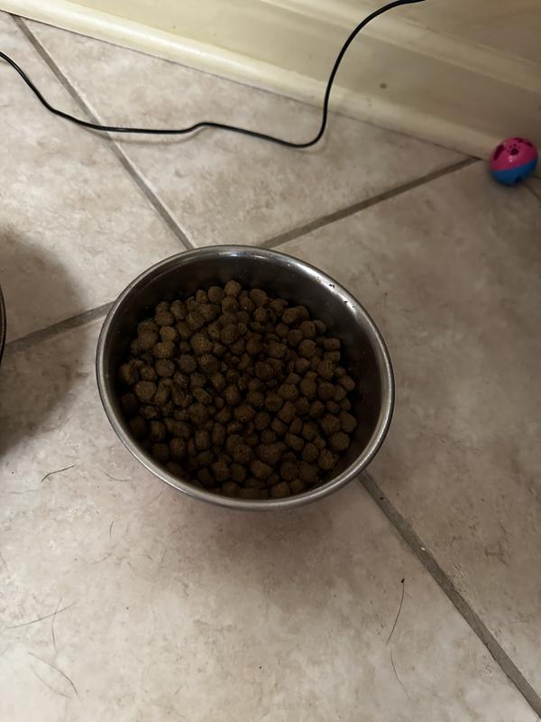 Missing the freeze dried bits