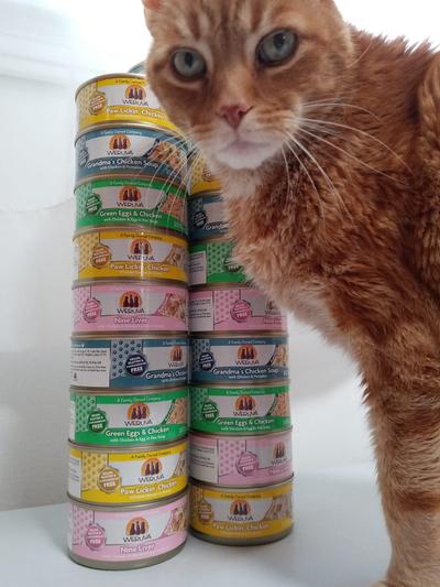 Jebus loves this food