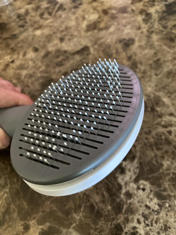 Skewed & Missing Teeth