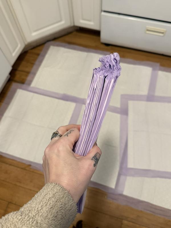 How they came out of the vacuum seal