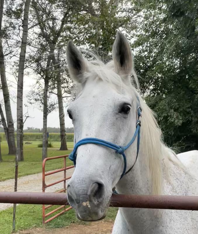 Happy and healthy at 32!