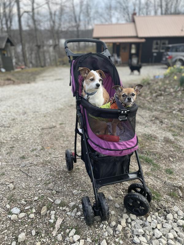 PET GEAR Happy Trails Lite No-Zip Pet Stroller, Pine Green - Chewy.com