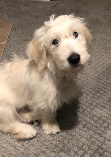 4months and growing