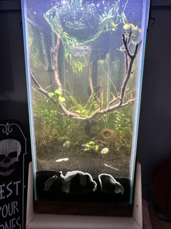 My 35 gallon hexagon