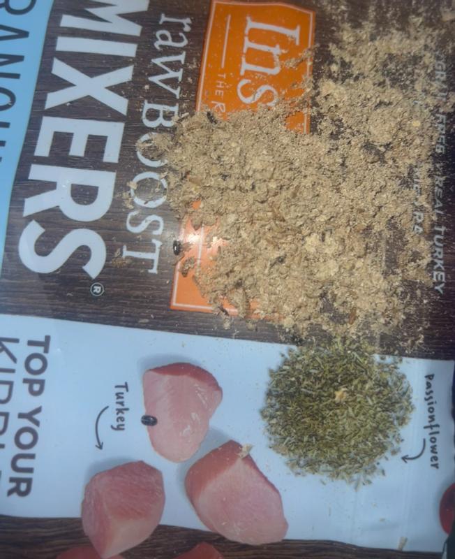 Crumbs with maggots and dark critters