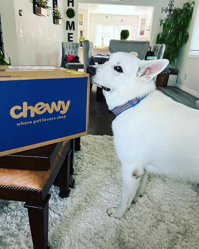 If it’s a Chewy box, it’s Sosuke’s