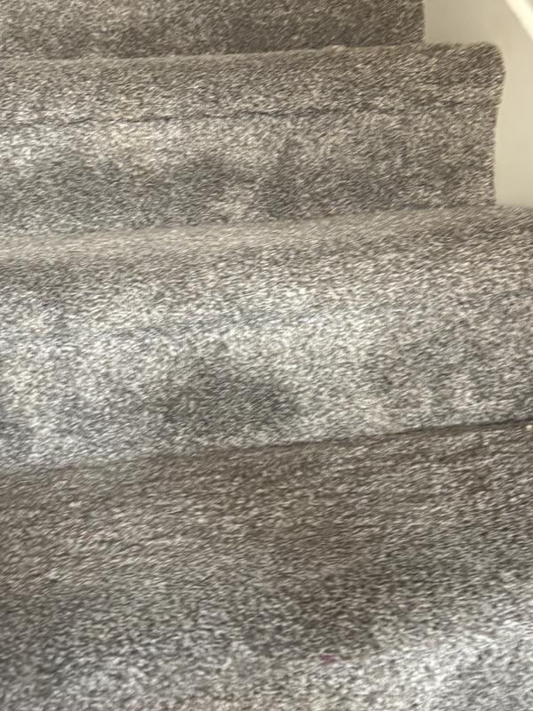 Can’t see where it was sprayed