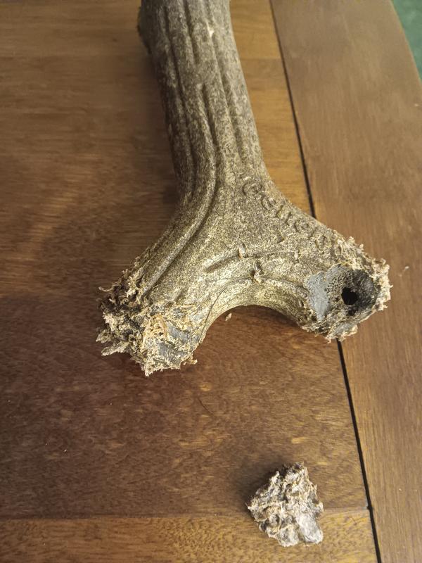 Large benebone maplestick that is hollow.  Large chunk dog broke off.