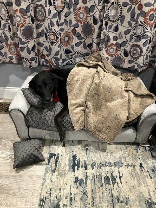 Discontinued KEET Westerhill Sofa Cat & Dog Bed with Removable Cover