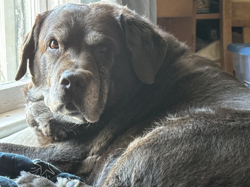 She can hear the bag opening ❤️