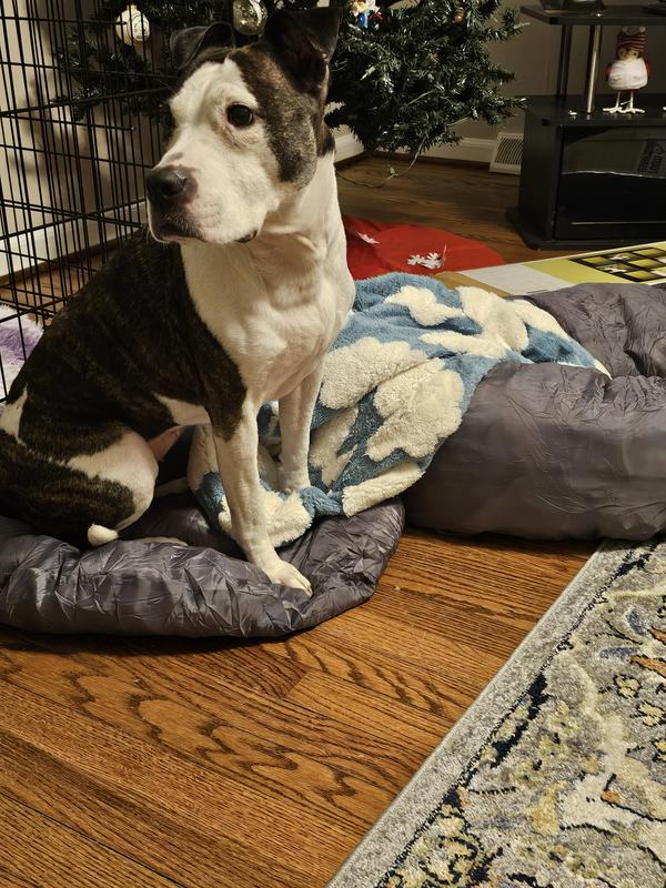 Mom, can you put this together already?