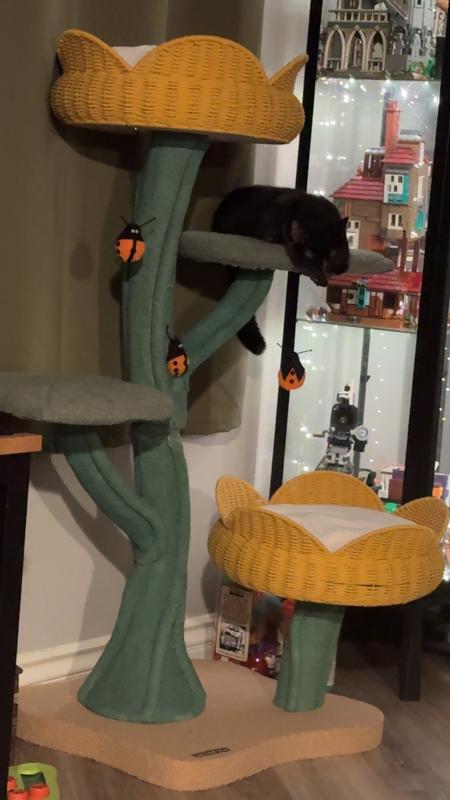 Tabasco passed out on a leaf