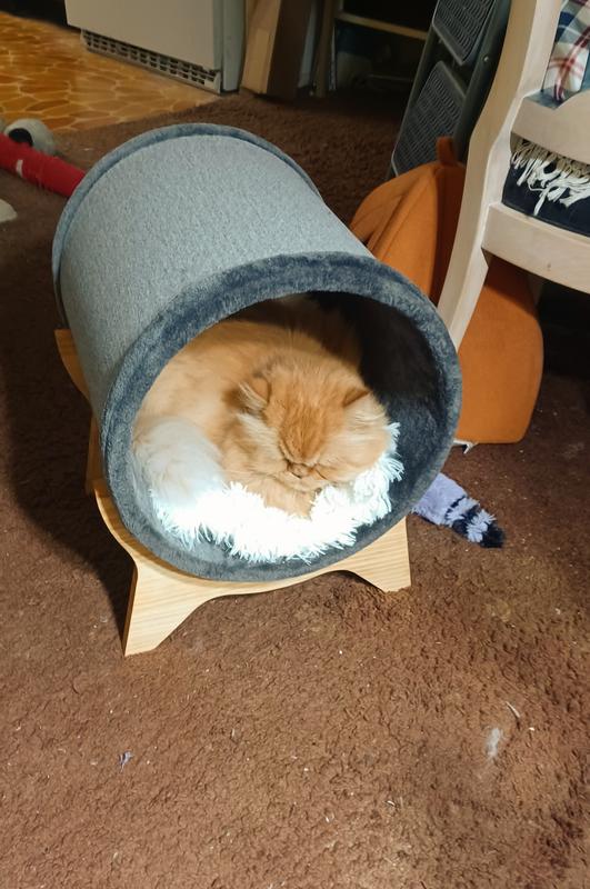 FRISCO Modern Tunnel Elevated Cat Bed
