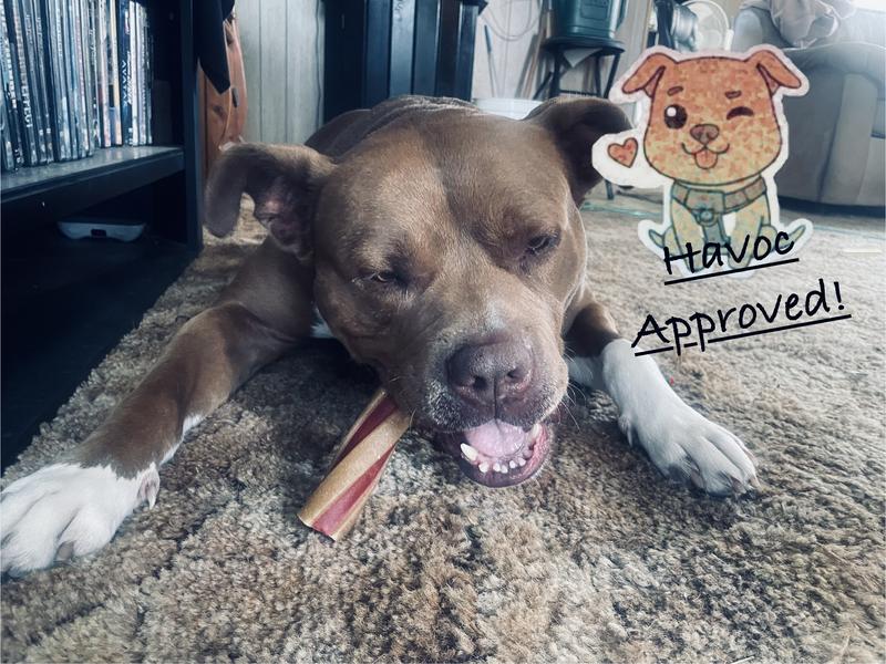 Havoc Approved!