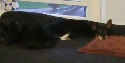 Gunnar and Alvin